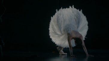 A dancer costumed as a swan stretches in the performance of Swan Lake.