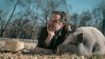 David Arquette laying on the grass with a pig