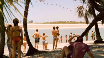 A group of people on a beach watch paratroopers descend from the sky.