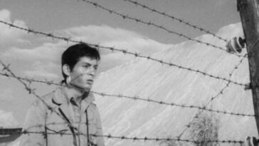 A man looks across a barbed wire fence.